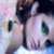 zuxArobe's picture