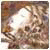 Anya112Ma's picture