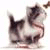 SaturasAbrabadia's picture