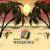 asherraguy's picture
