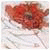 DimoslKnivy's picture