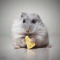 Hermanusage's picture