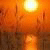 posido-Reerves's picture