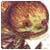 fortuneplay-Effiree's picture
