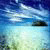 posido-clefign's picture