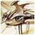 likesbet-Leams's picture