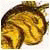 betmatch-Jaith's picture